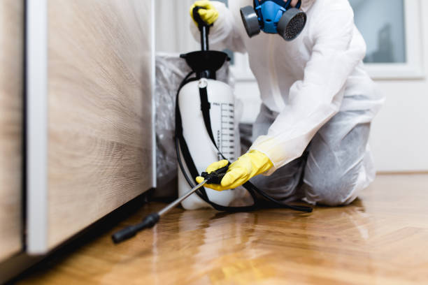 Best Pest Removal Services  in Erwinville, LA