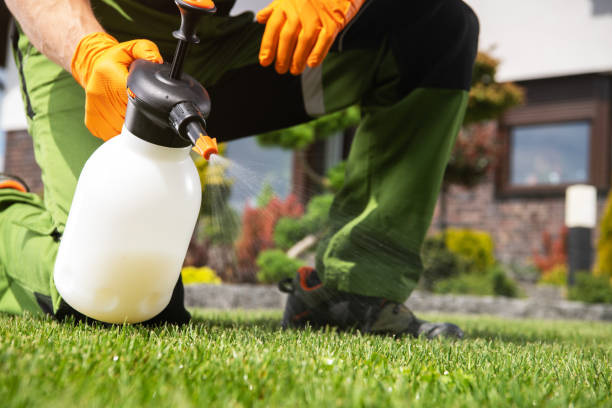 Best Pest Prevention Services  in Erwinville, LA