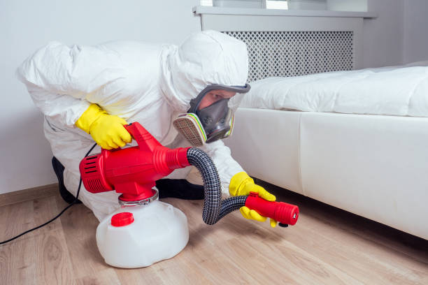 Flea Control Services in Erwinville, LA