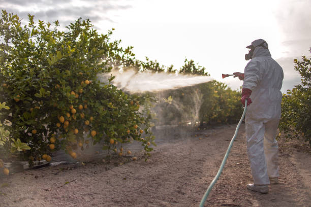 Best Pest Removal Services  in Erwinville, LA