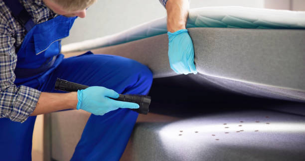 Best Local Pest Control Services  in Erwinville, LA