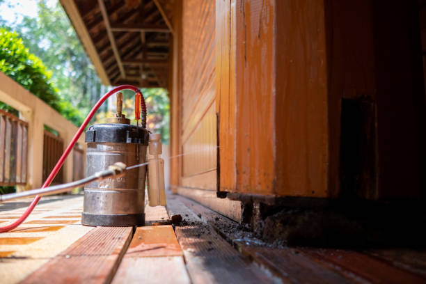 Best Ant Control Services  in Erwinville, LA