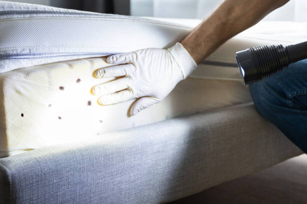 Professional Pest Control in Erwinville, LA