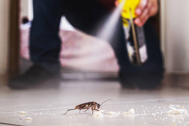 Best Best Pest Control Companies  in Erwinville, LA