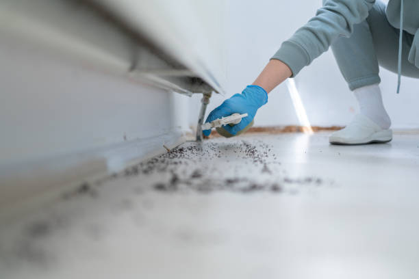 Best Affordable Pest Control Services  in Erwinville, LA