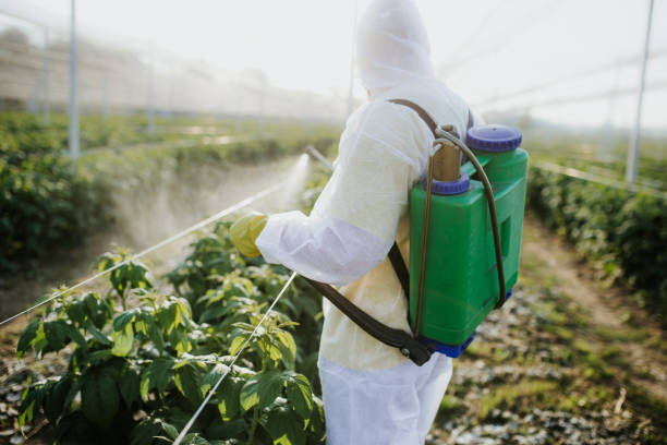 Best Emergency Pest Control  in Erwinville, LA